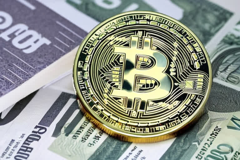 Unveiling the Current Value of 1 Pi: Real - Time Price Insights & Future Predictions