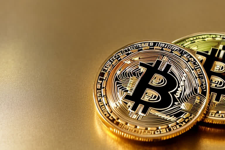 Unveiling the Future: MUSKIT Coin Price Prediction and Market Insights